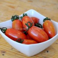 Tomate cerise artisan allongee pink