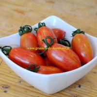 Tomate cerise artisan allongee