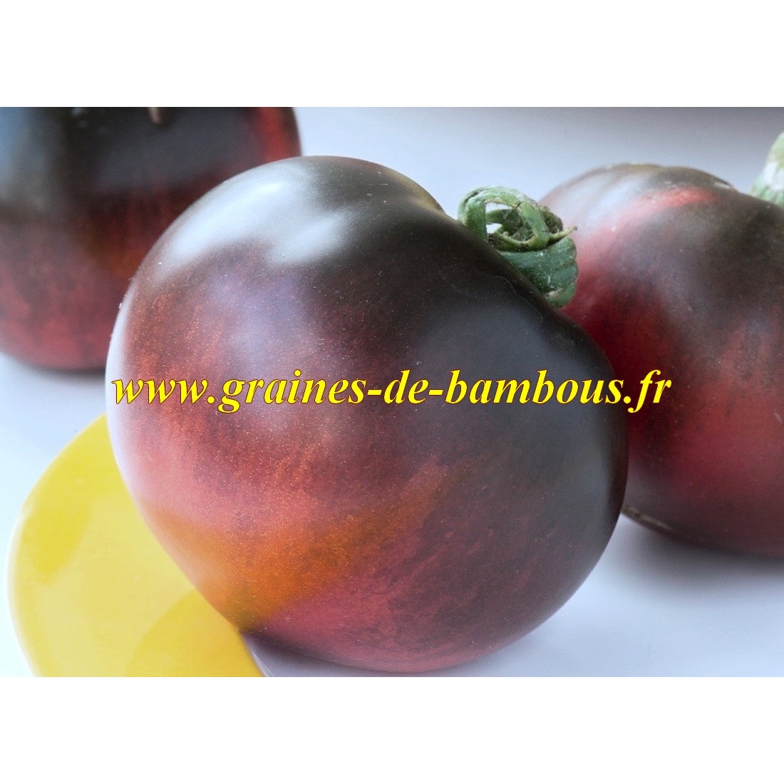 Tomate couleur bleu indigo apple graines de bambous eu