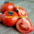 Tomate floradade graines de bambous fr