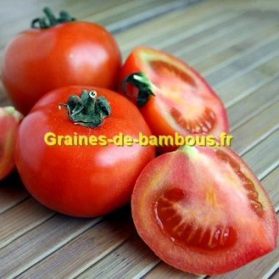 Tomate floradade graines de bambous fr