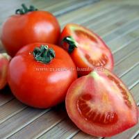 Tomate floradade