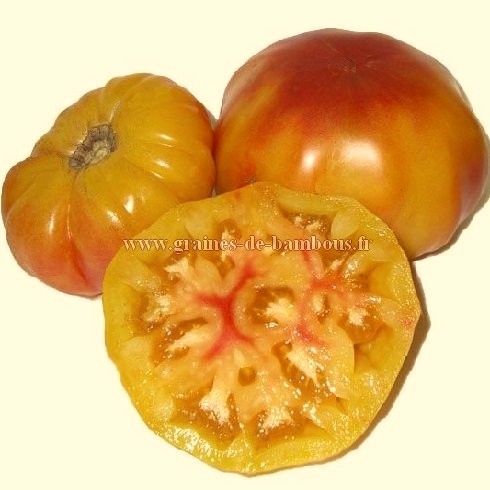 Tomate german striped graines