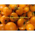 Tomate golden jubilee graines de bambous fr