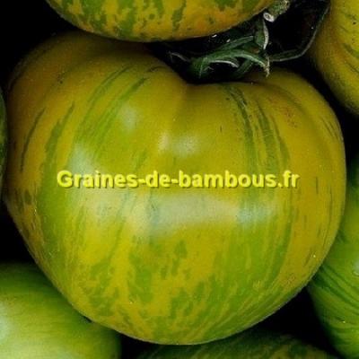 Tomate green zebra graines de bambous fr