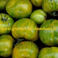 Tomate green zebra graines