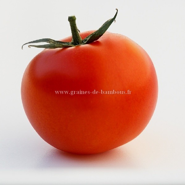 Tomate heinz 1370 graines de bambous fr