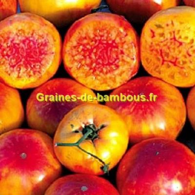 Tomate hillbilly graines de bambous eu