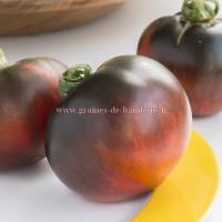 Tomate indigo apple semences