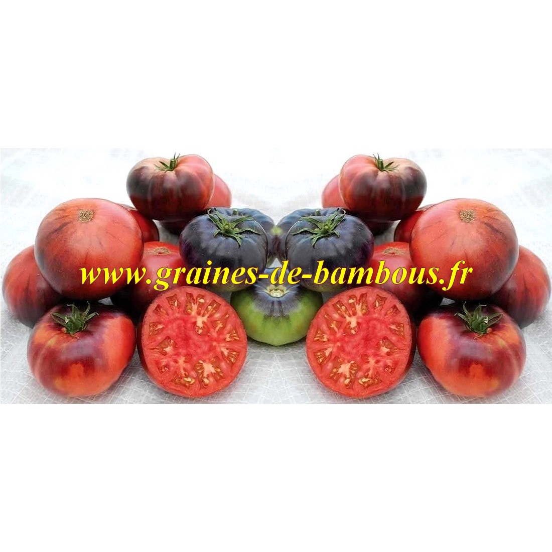 Tomate indigo blue beauty graines de bambous eu