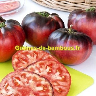 Tomate indigo blue beauty graines non traitees