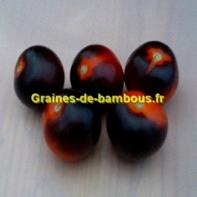 Tomate indigo rose graines non traitees