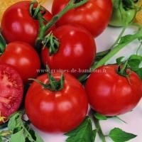 Tomate krakus graines de bambous fr