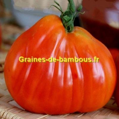 Tomate liguria graines de bambous fr