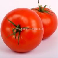 Tomate marglobe