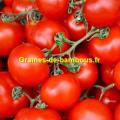 Tomate merveille du jardinier graines de bambous fr