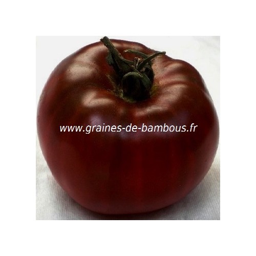 Tomate noire crimee semences