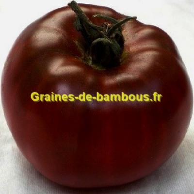 Tomate noire de crimee graines de bambous fr