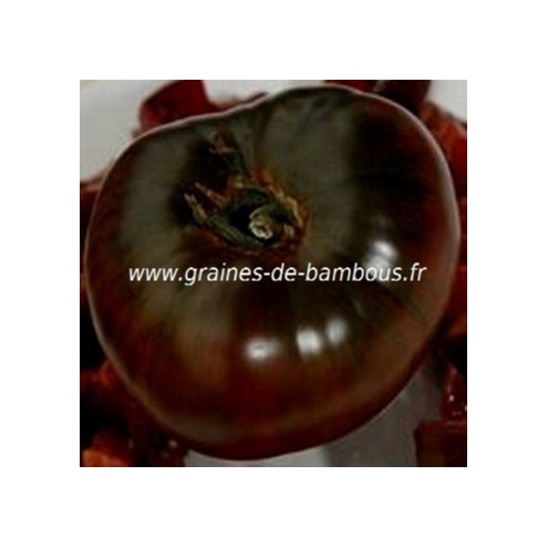 Tomate noire de tula graines de bambous fr