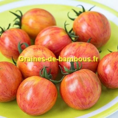 Tomate pink bumble bee graines de bambous fr
