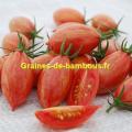 Tomate pink tiger sur graines de bambous fr