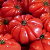 Tomate pink zapotec graines de bambous fr
