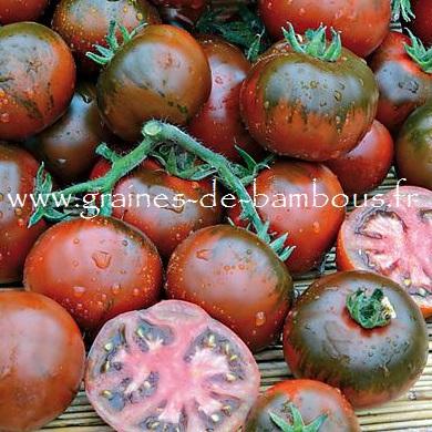 Tomate rebella