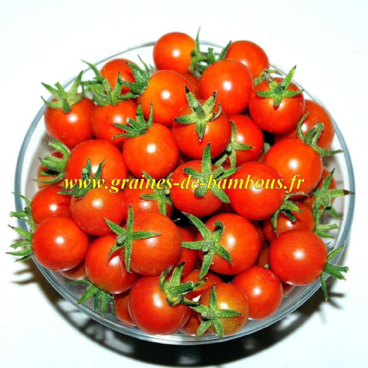 Tomate red cherry