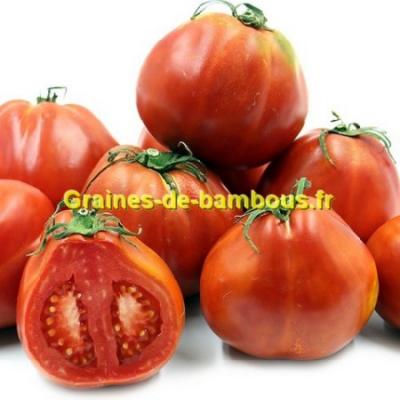 Tomate red pear sur graines de bambous fr