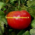 Tomate red ponderosa graines de bambous fr