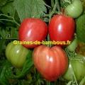 Tomate red strawberry graines de bambous fr