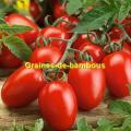 Tomate roma graines de bambous eu