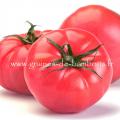 Tomate rosa