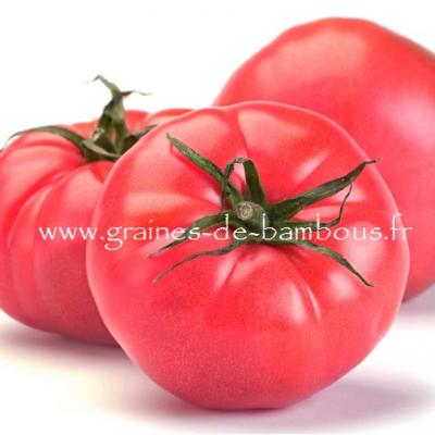 Tomate rosa