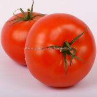 Tomate saint pierre chez graines de bambous fr