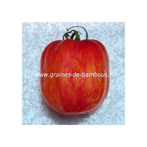 Tomate striped stuffer graines fruit