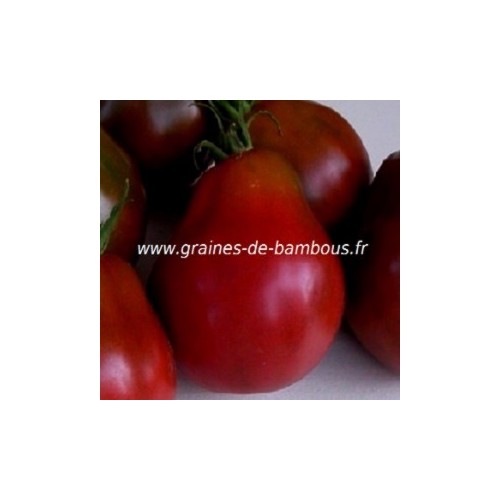 Tomate trifele black truffle noire graines de bambous fr