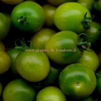 Tomate verte green grape
