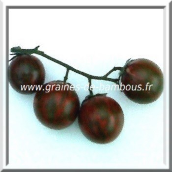 Tomate