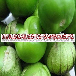 Tomatillo