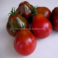 Trifele black graines de tomate sur graines de bambous fr