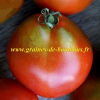 Trifele black graines de tomate