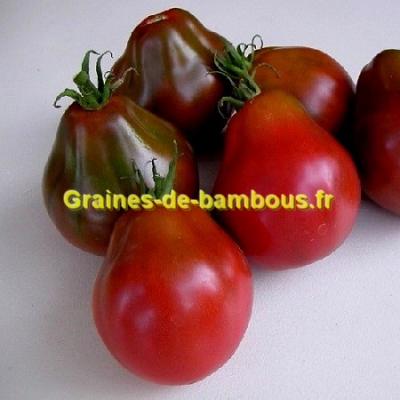 Trifele black tomate graines de bambous eu