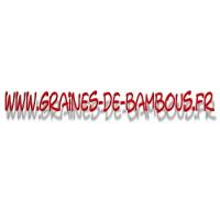 www-graines-de-bambous-fr-l.jpg