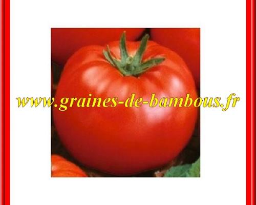 www-graines-de-bambous-fr-tomate-tomato-seeds-samen-semillas-solanum-esculentum.jpg
